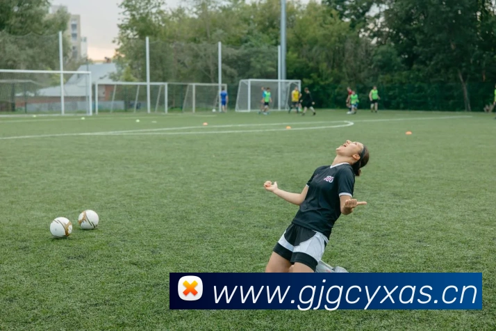 星空体育官方在线登录平台生态图